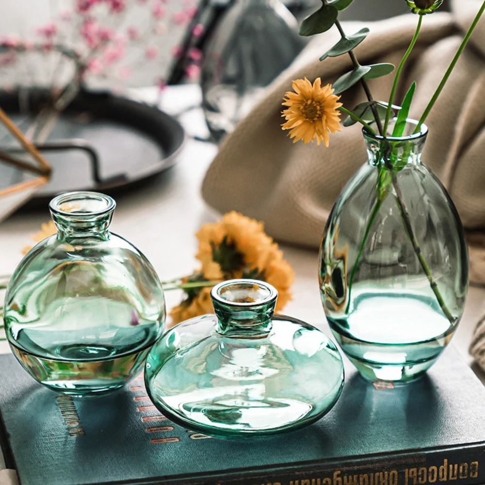 Glass Vase Nordic - Nordic Transparent Glass Vase Avocado Seed