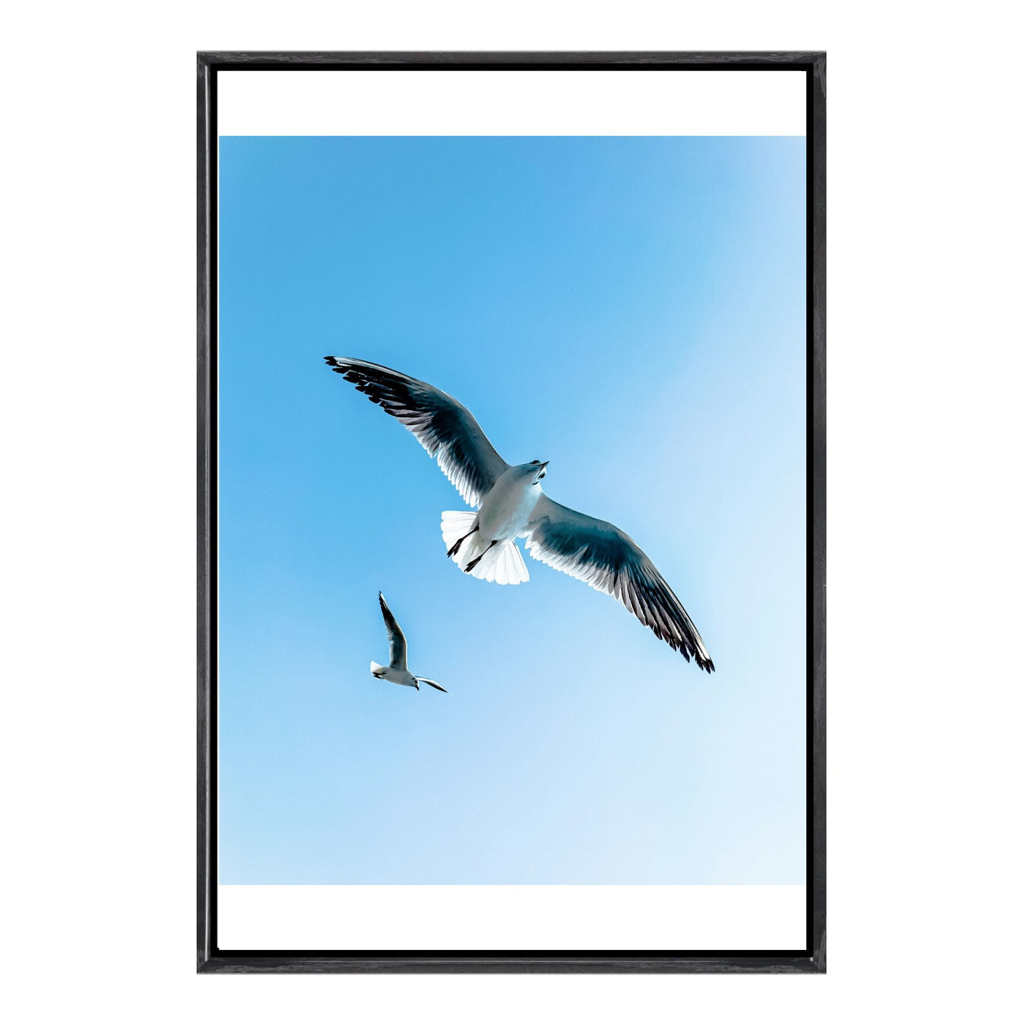 Seagull Canvas Framed Wall Art - Home Decor Mirror recension och pris