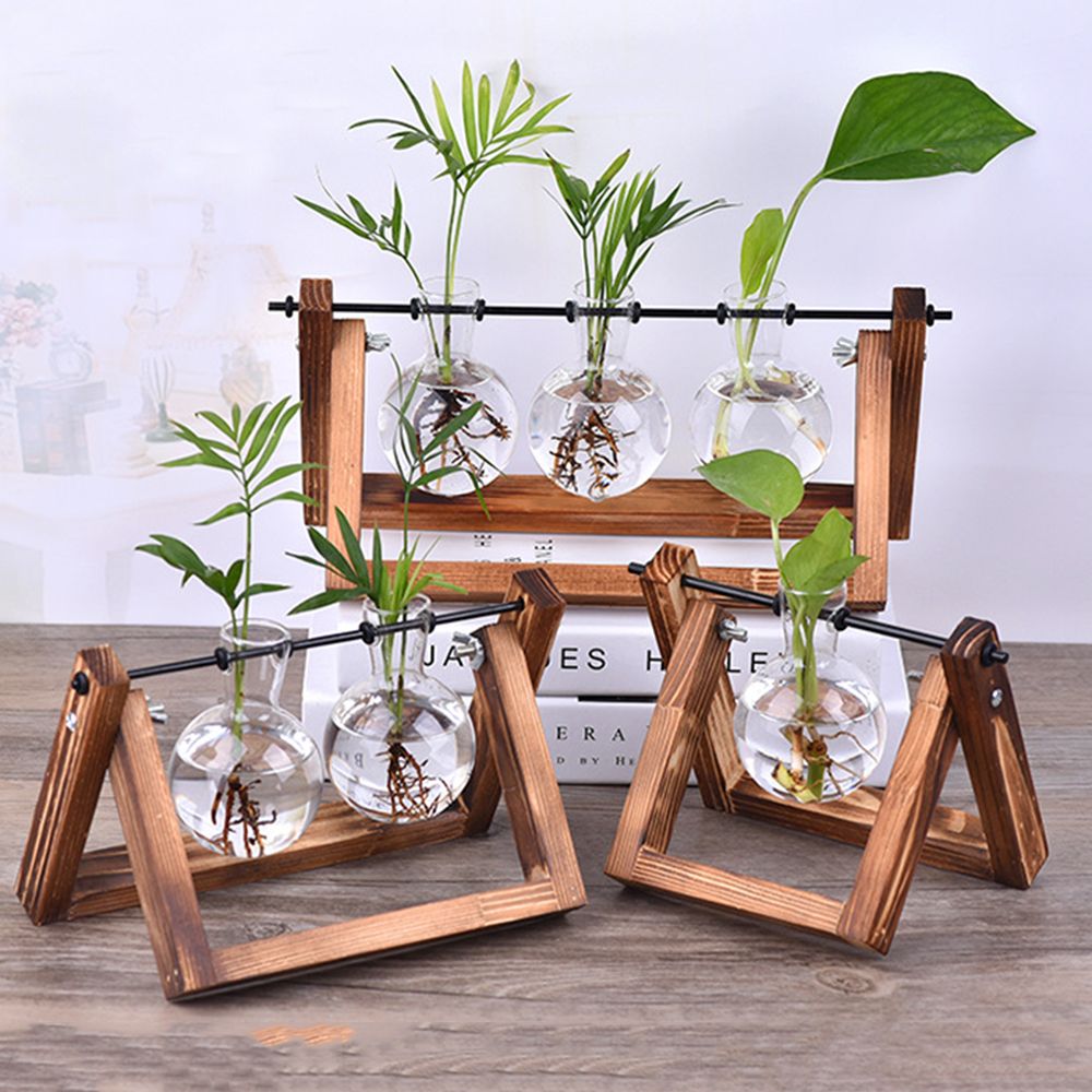 Hydroponic Plant Vases Glass V - Glass Vase Nordic recension och pris