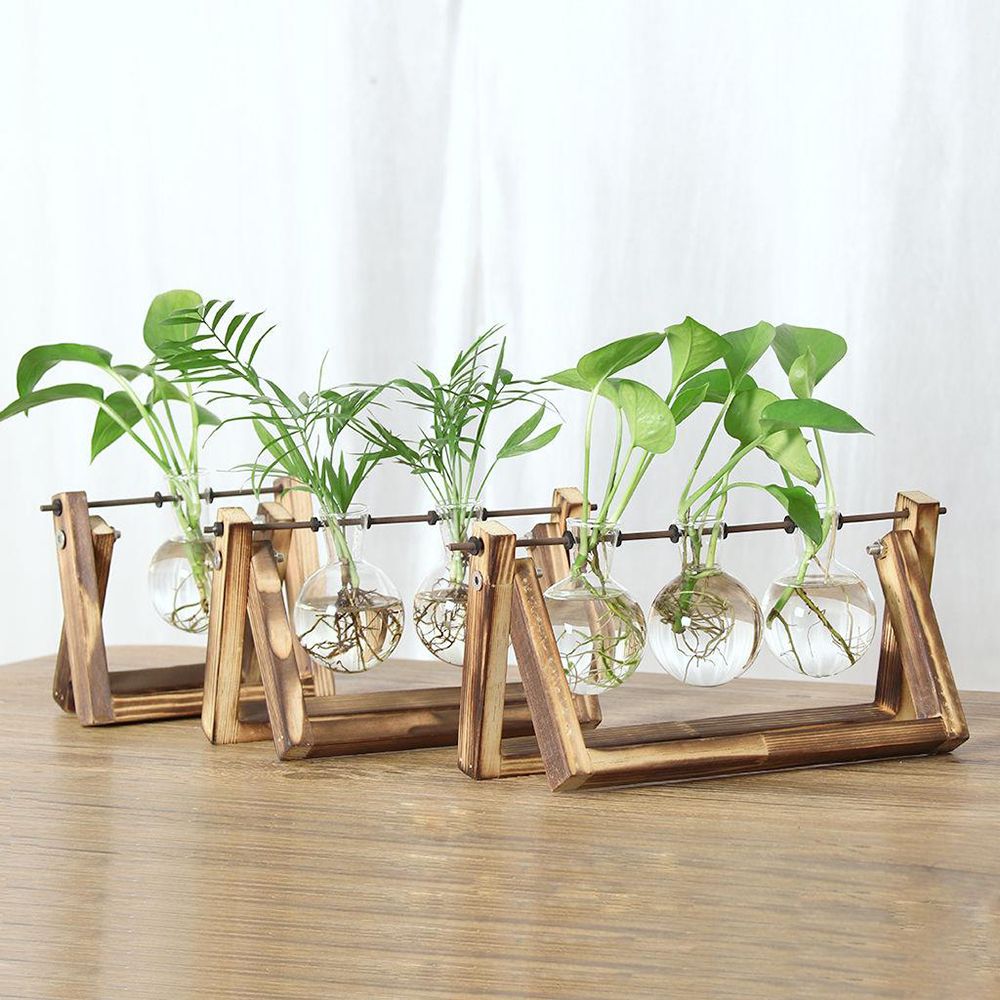 Hydroponic Plant Vases Glass V - Glass Vase Nordic recension och pris