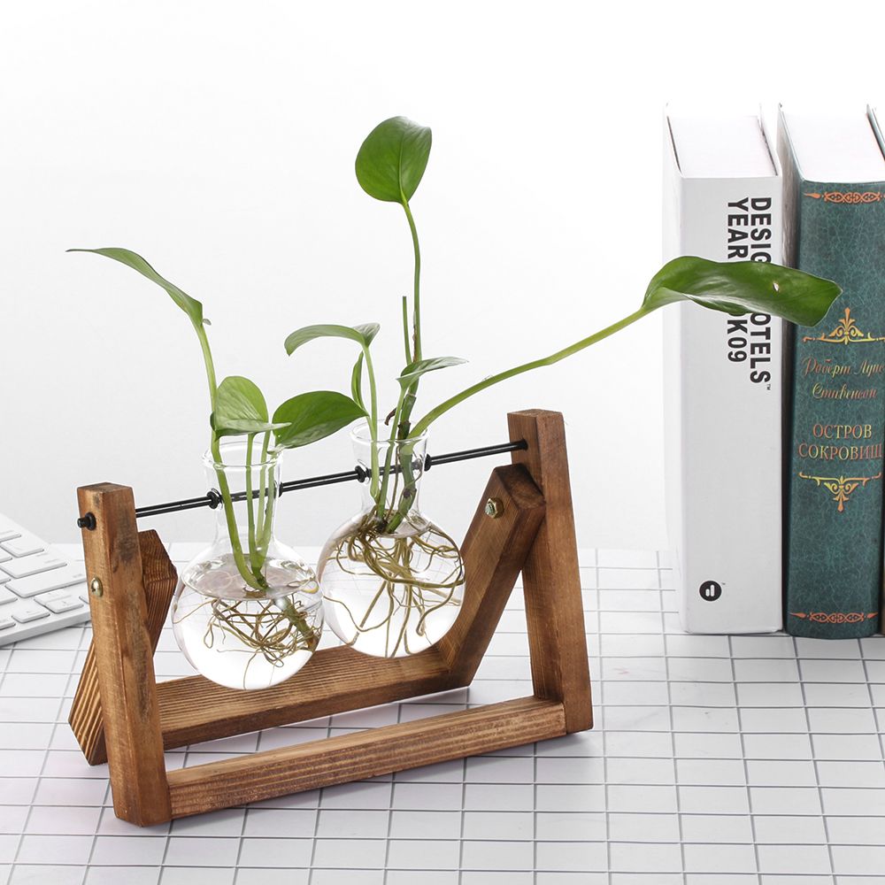 Hydroponic Plant Vases Glass V - Glass Vase Nordic recension och pris