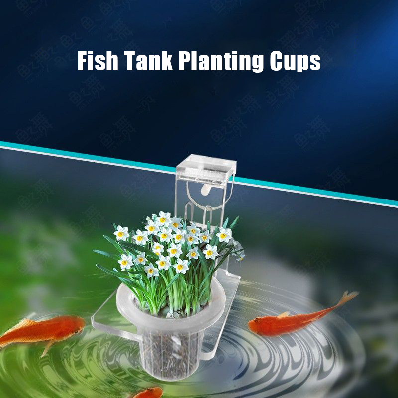 Fish Tank Planting Cups Hydrop - Woven Wall Basket recension och pris