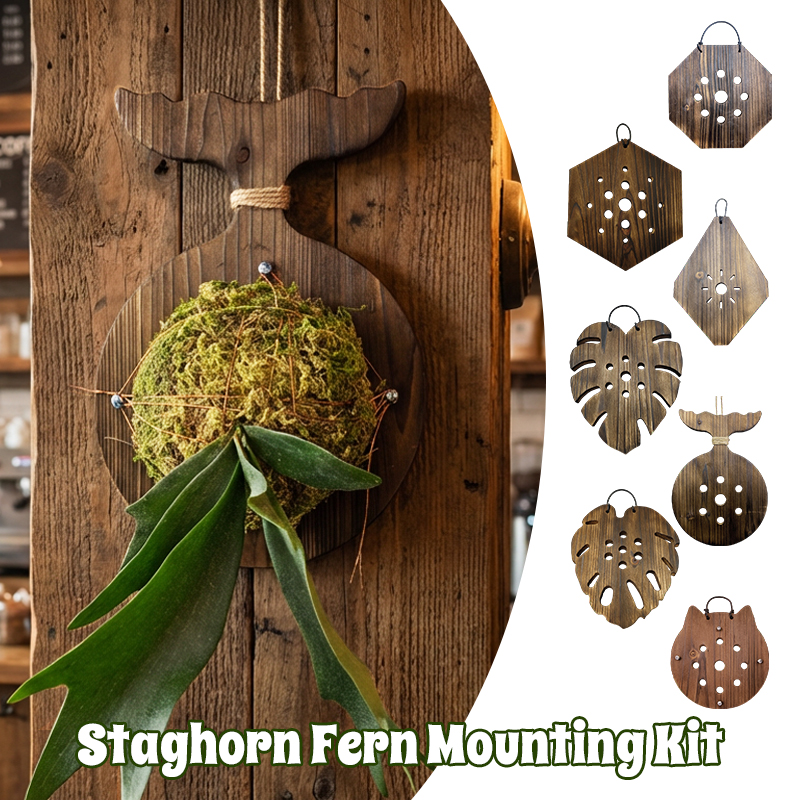 New Wooden Staghorn Fern Wall  - Woven Wall Basket recension och pris