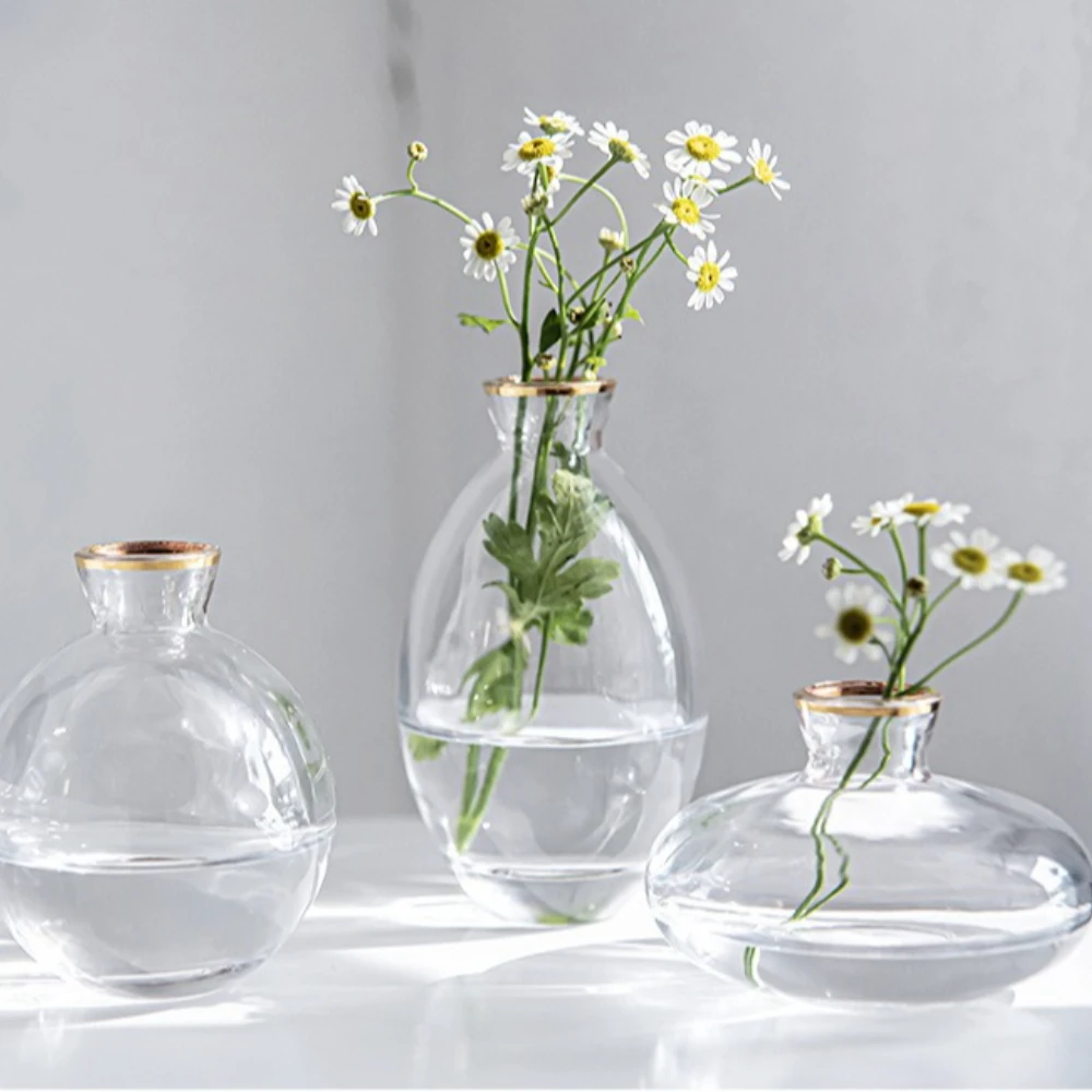 Nordic Transparent Glass Vase  - Glass Vase Nordic recension och pris