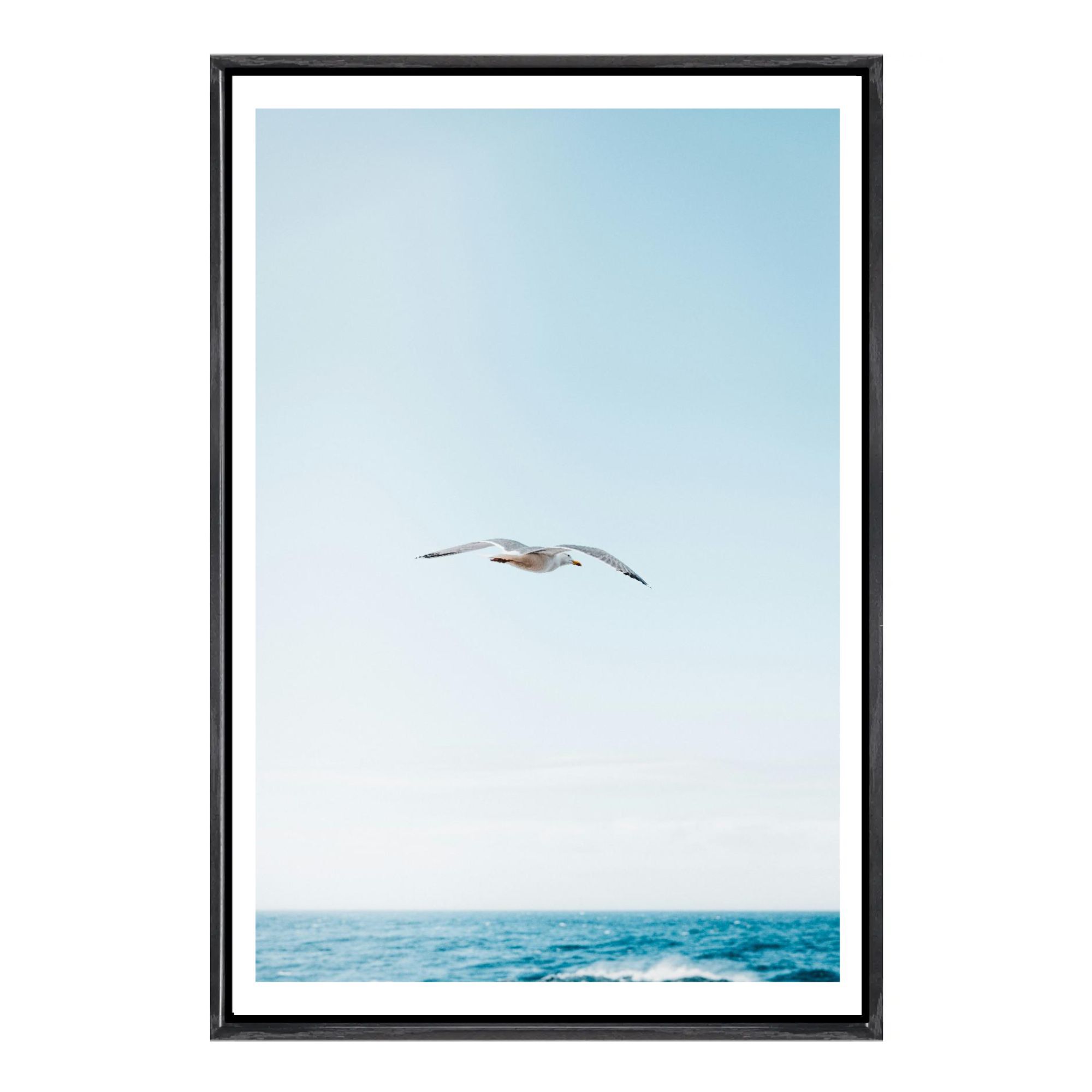 Seagull Canvas Framed Wall Art - Home Decor Mirror recension och pris
